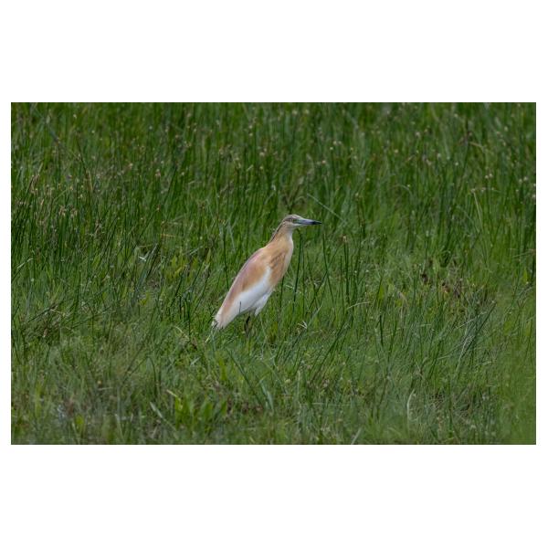 PHOTO84, CLUB, 84 , LUBERON